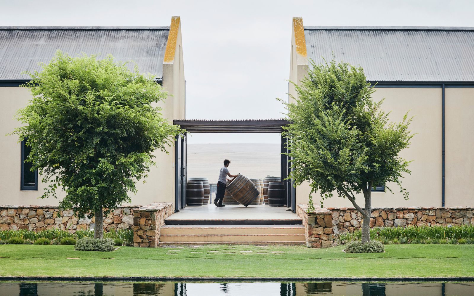 Harvest intern at Gabrielskloof pushing barrel over to the cellar