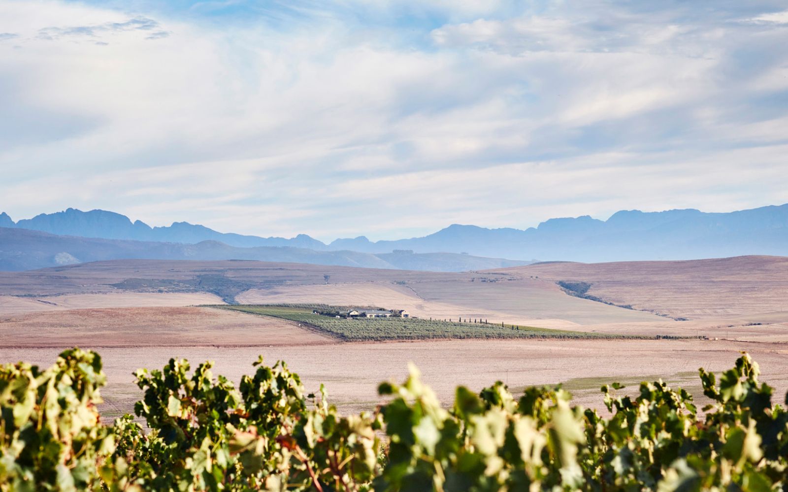 Gabriëlskloof Cellar in the distance
