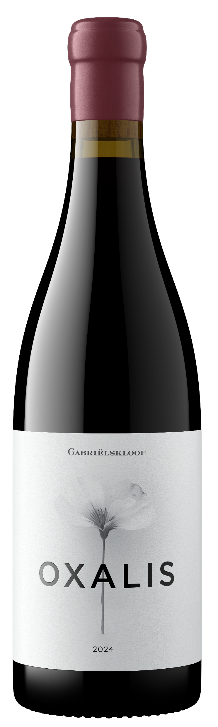 A bottle of Oxalis red wine by Garrafe de Leiu, featuring a dark glass bottle with a white label and a dusty burgundy foil capsule, isolated on a white background.