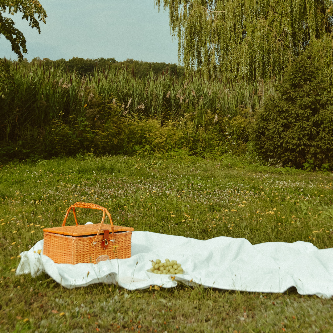 Garden Party Adult Picnic to share