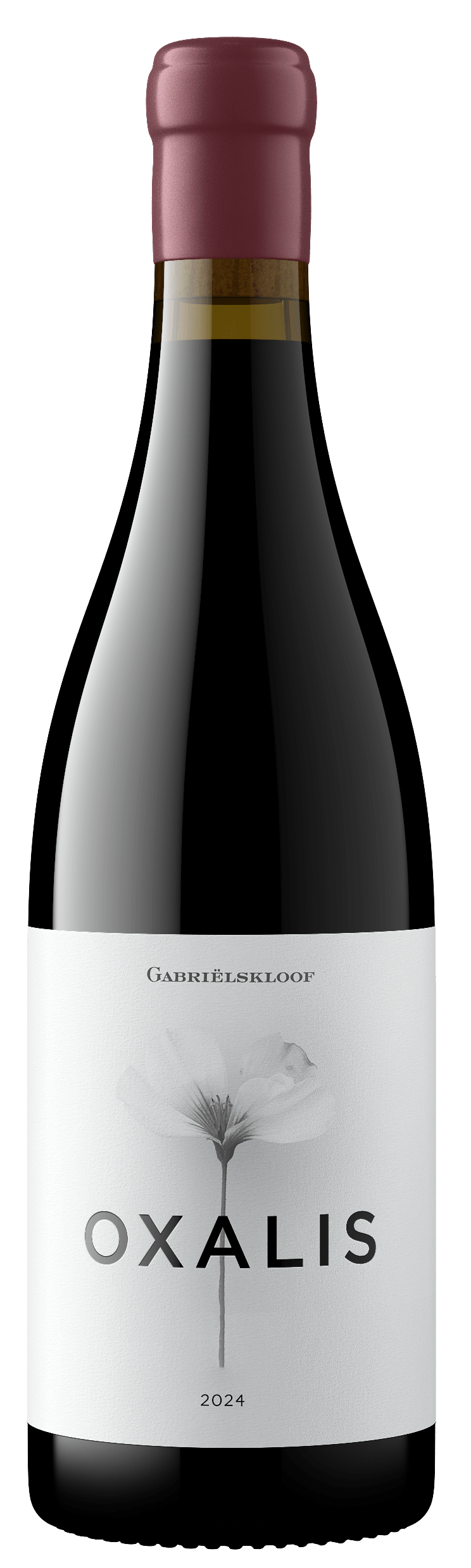 Syrah Oxalis 2024 - Gabriëlskloof Wines